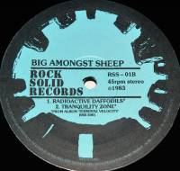 BIG AMONGST SHEEP - ASTROPOP (12")