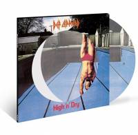 DEF LEPPARD - HIGH 'N' DRY (PICTURE DISC LP)