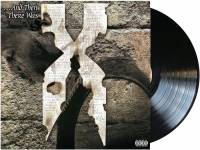 DMX - ...AND THEN THERE WAS X (2LP)