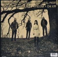 MOUNT SALEM - ENDLESS (BEER COLOURED vinyl LP)
