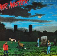 MR. MISTER - WELCOME TO THE REAL WORLD (LP)