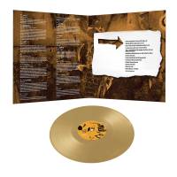 STEVE MORSE - MAJOR IMPACTS 2 (GOLD cinyl LP)