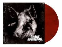 ANAAL NATHRAKH - ENDARKENMENT (RED BLACK MARBLED vinyl LP)