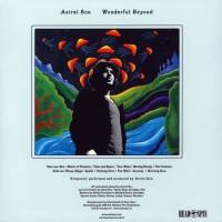 ASTRAL SON - WONDERFUL BEYOND (LP)