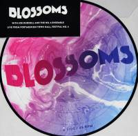 BLOSSOMS - UNPLUGGED AT FESTIVAL 6 (10" PICTURE DISC EP)