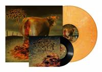 CATTLE DECAPITATION - HUMANURE (ORANGE MARBLED vinyl LP + 7")