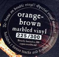 COUNT RAVEN - STORM WARNING (ORANGE-BROWN MARBLED vinyl 2LP)