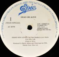 DEAD OR ALIVE - BRAND NEW LOVER (12")