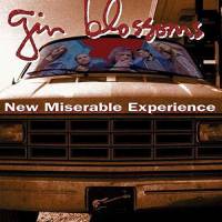 GIN BLOSSOMS - NEW MISERABLE EXPERIENCE (LP)