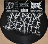 NAPALM DEATH / INSECT WARFARE (PICTURE DISC 7")
