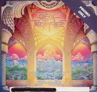 OZRIC TENTACLES - TECHNICIANS OF THE SACRED (CD)