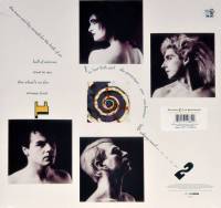 SIOUXSIE AND THE BANSHEES - THROUGH THE LOOKING GLASS (LP)