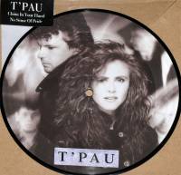 T' PAU - CHINA IN YOUR HAND (PICTURE DISC 7")