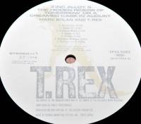 T.REX - ZINC ALLOY AND THE HIDDEN RIDERS OF TOMORROW (LP)