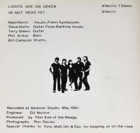 THIN END OF THE WEDGE - LIGHTS ARE ON GREEN (7")