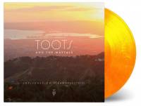 TOOTS AND THE MAYTALS - UNPLUGGED ON STRAWBERRY HILL (SUN COLOURED vinyl LP)
