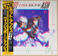 WISHBONE ASH - HOT ASH (LP)