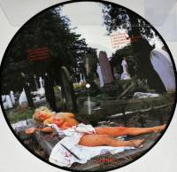 WITCHFINDER GENERAL - DEATH PENALTY (PICTURE DISC LP)